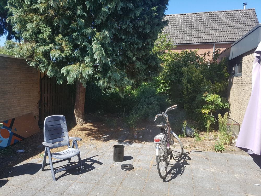 Verwilderde tuin in Enschede voor de renovatie, overwoekerd door onkruid